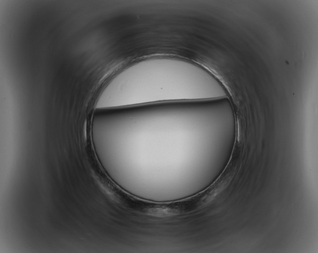 X0000086910253200704161015