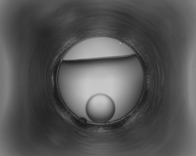 X0000086910254200704161015