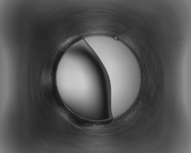 X0000086910256200704161015