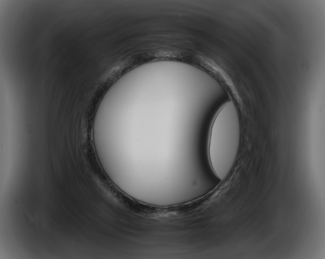 X0000086910257200704161015