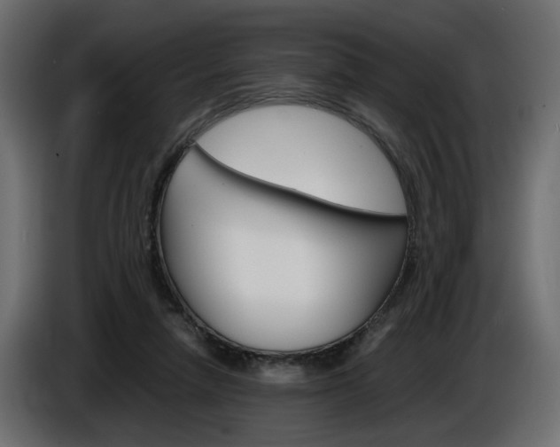 X0000086910258200704161016