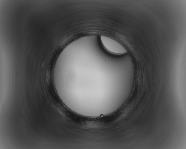 X0000086910259200704161016