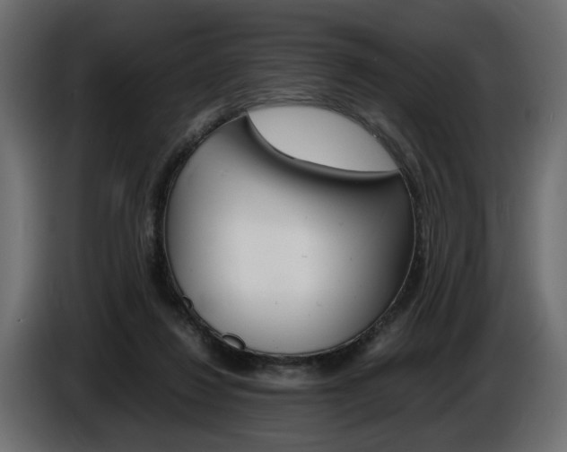 X0000086910260200704161016