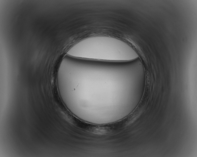X0000086910261200704161016
