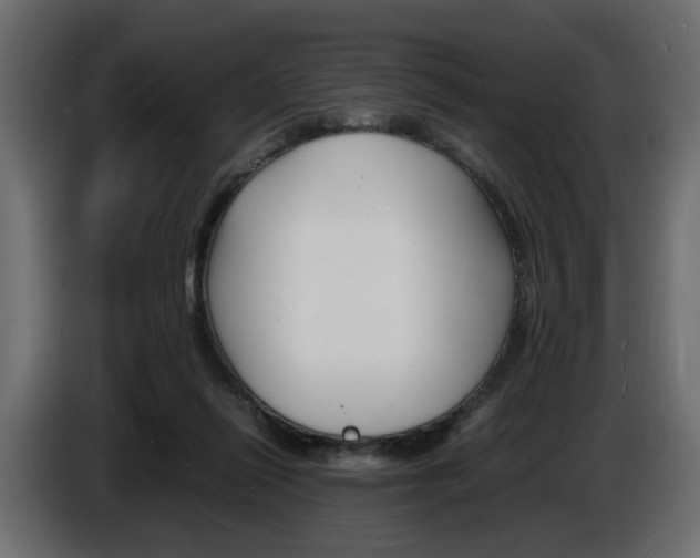 X0000086910262200704161016