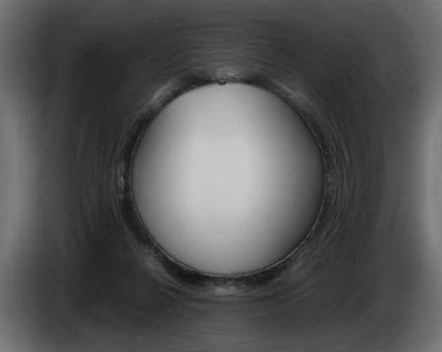X0000086910264200704161016