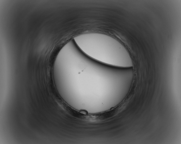 X0000086910265200704161016