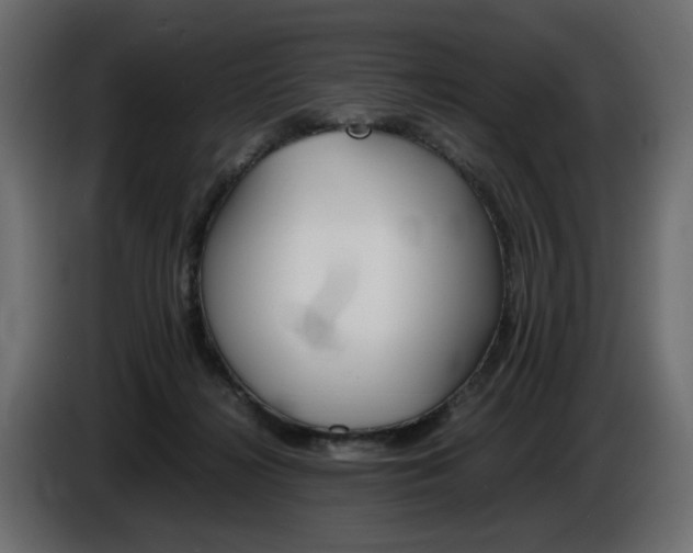 X0000086910268200704161016