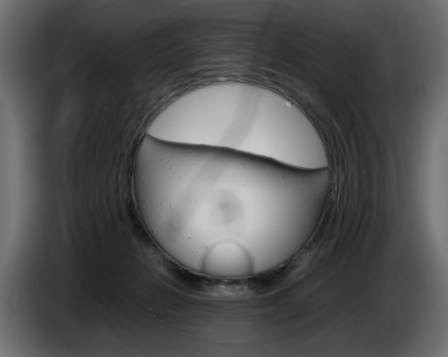 X0000086910270200704161016