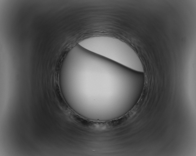 X0000086910272200704161016