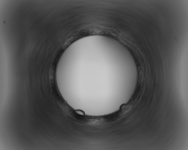 X0000086910274200704161016