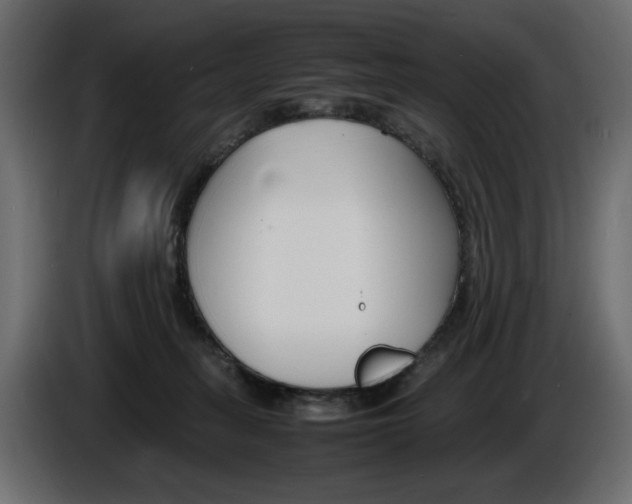 X0000086910275200704161016