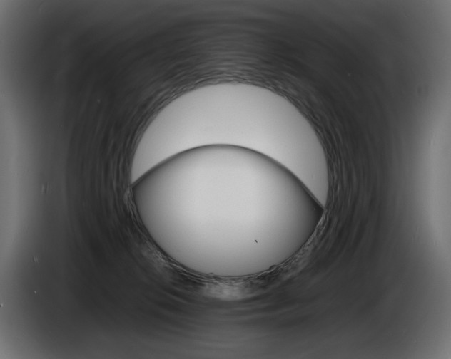 X0000086910276200704161016