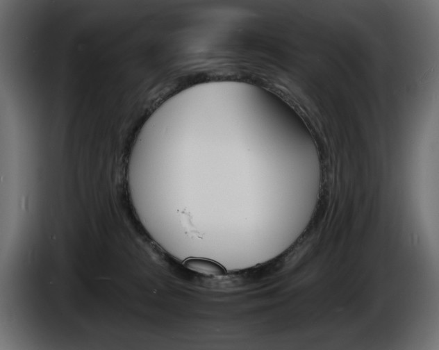 X0000086910277200704161016