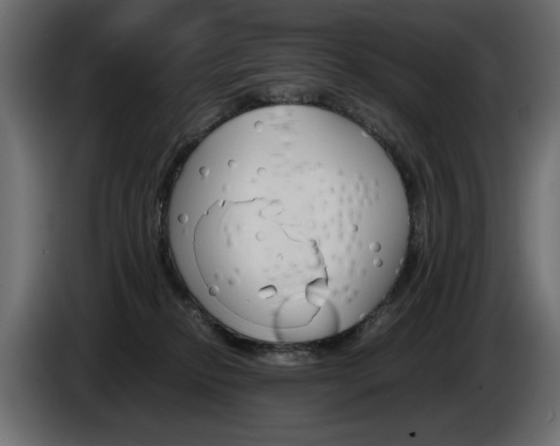 X0000086910278200704161016