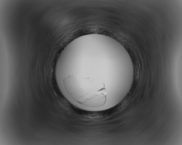 X0000086910279200704161016