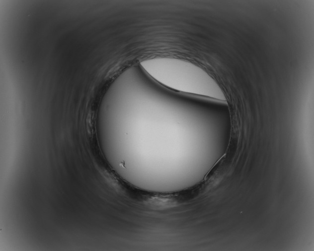 X0000086910280200704161016