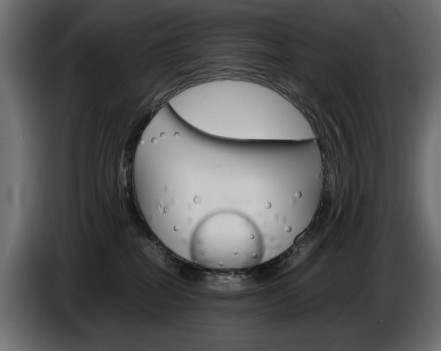 X0000086910282200704161016