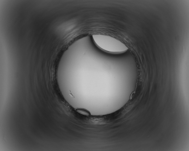 X0000086910283200704161016