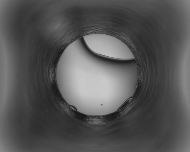 X0000086910285200704161016
