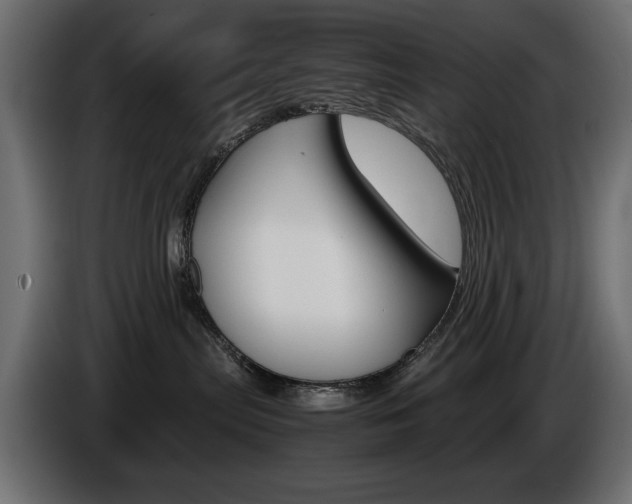 X0000086910287200704161016