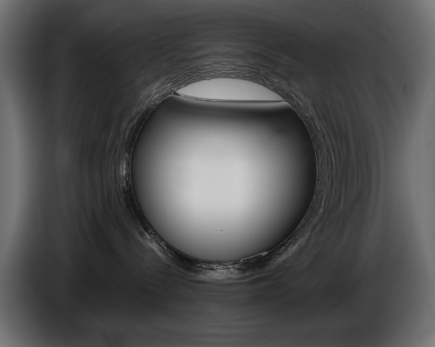X0000086910288200704161016