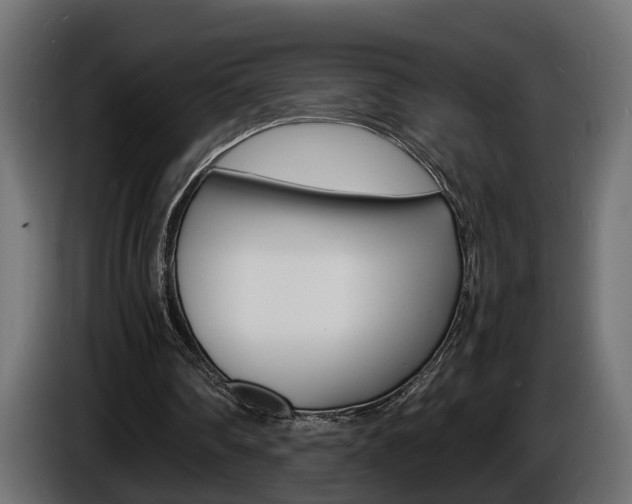 X0000086910290200704161015