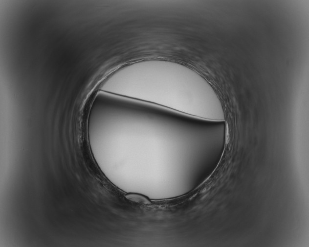 X0000086910291200704161015