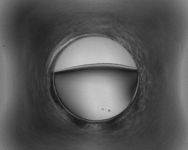 X0000086910295200704161015
