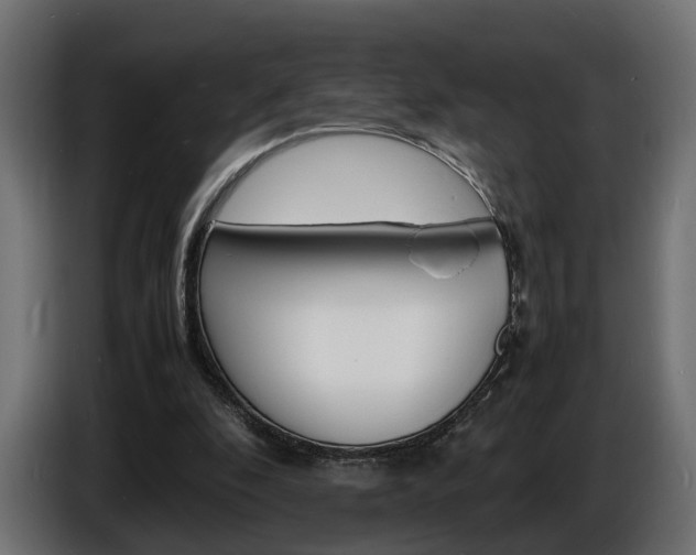 X0000086910296200704161015