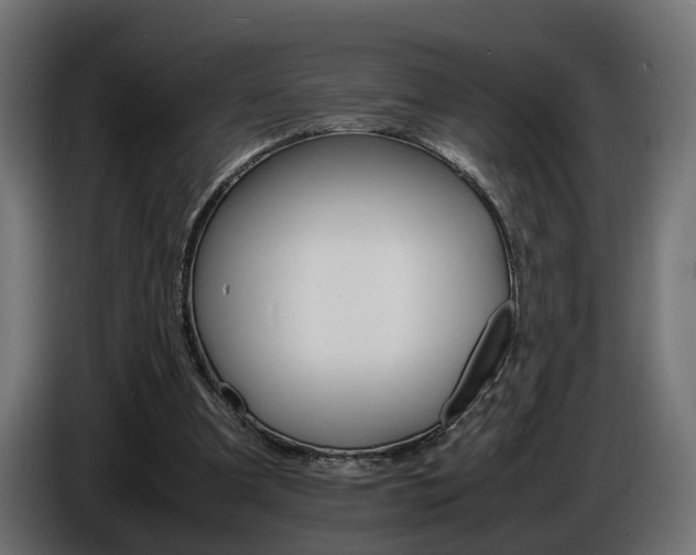 X0000086910297200704161015