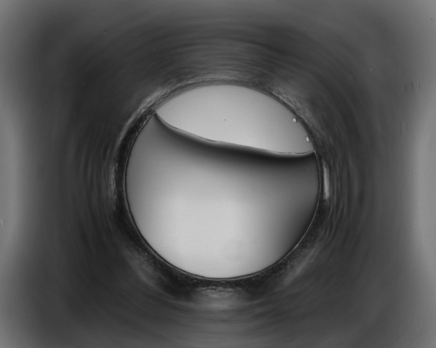 X0000086910300200704161015