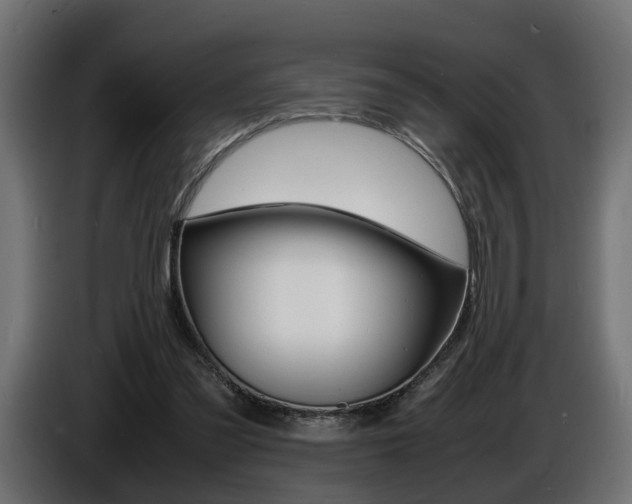 X0000086910301200704161015