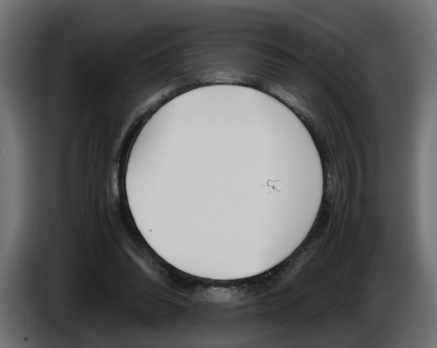 X0000086910302200704161015