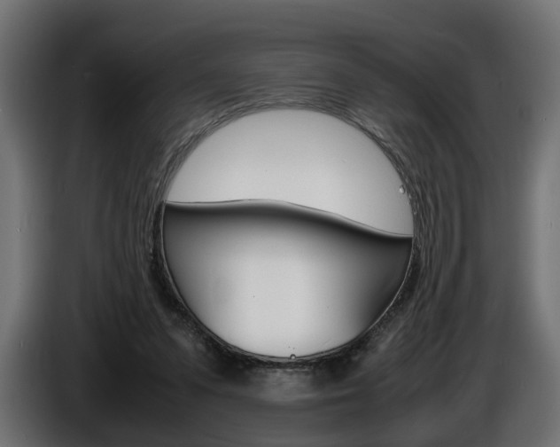 X0000086910303200704161015