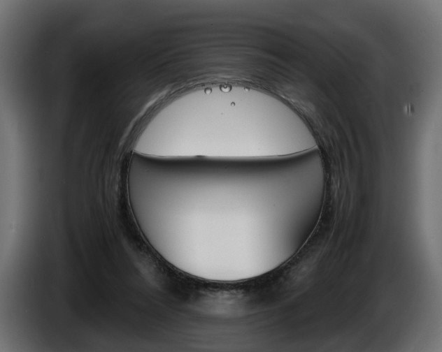X0000086910304200704161015