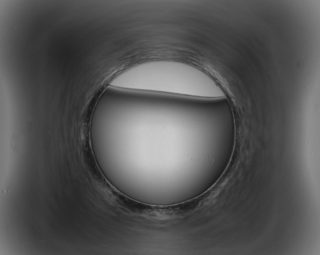 X0000086910305200704161015