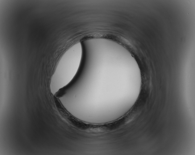 X0000086910307200704161015