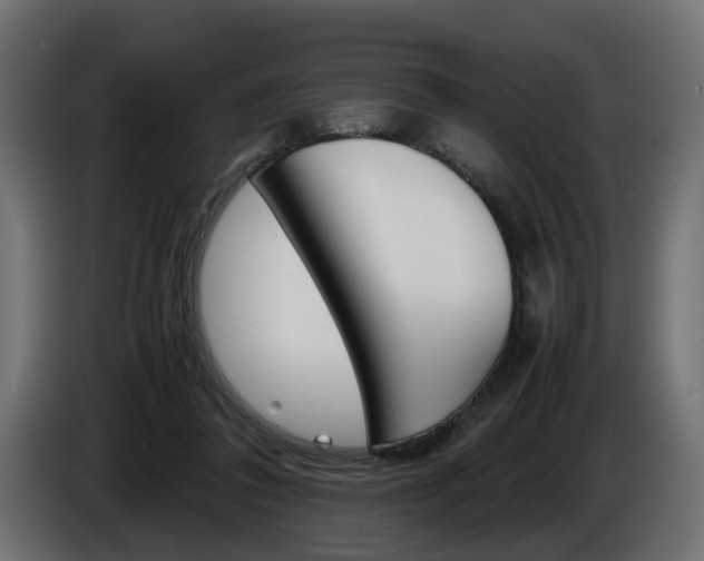 X0000086910308200704161015