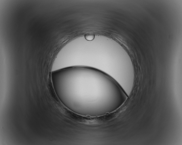 X0000086910309200704161015