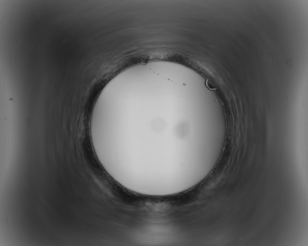 X0000086910311200704161015
