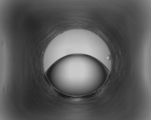 X0000086910313200704161015