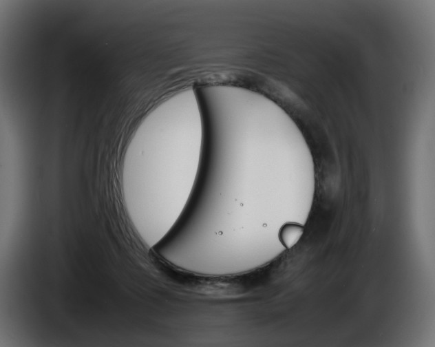 X0000086910315200704161015