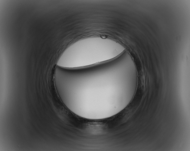 X0000086910316200704161015