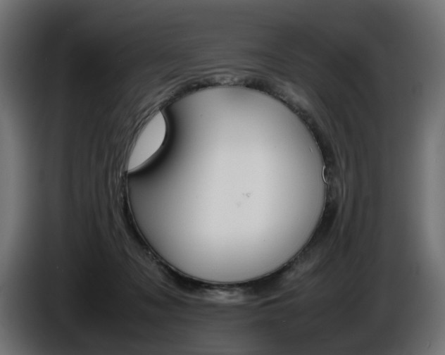X0000086910317200704161015