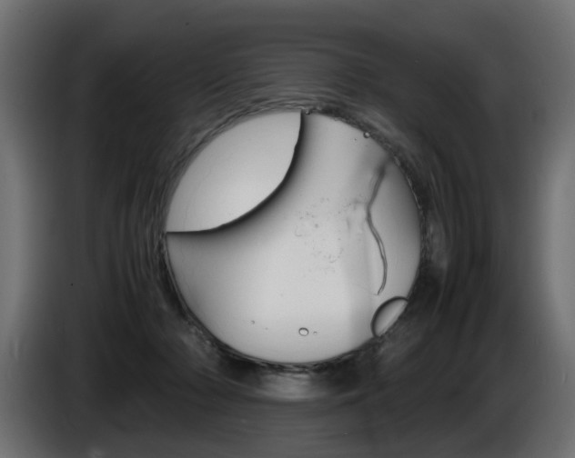 X0000086910318200704161015