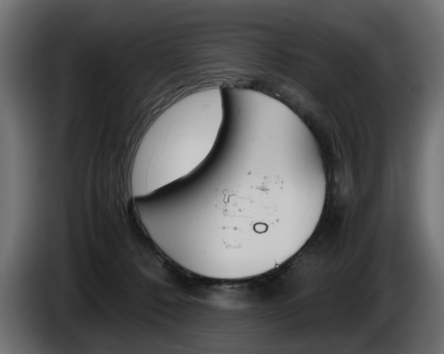 X0000086910320200704161015