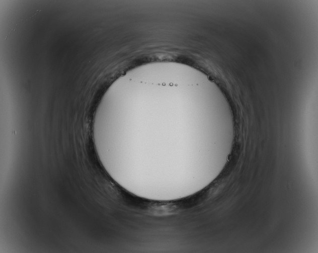 X0000086910321200704161015