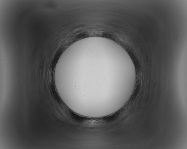 X0000086910323200704161015