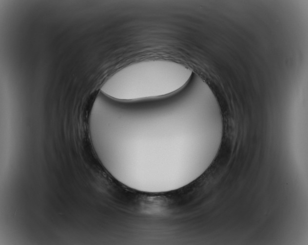 X0000086910324200704161015